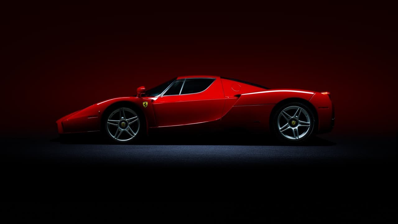 Enzo model