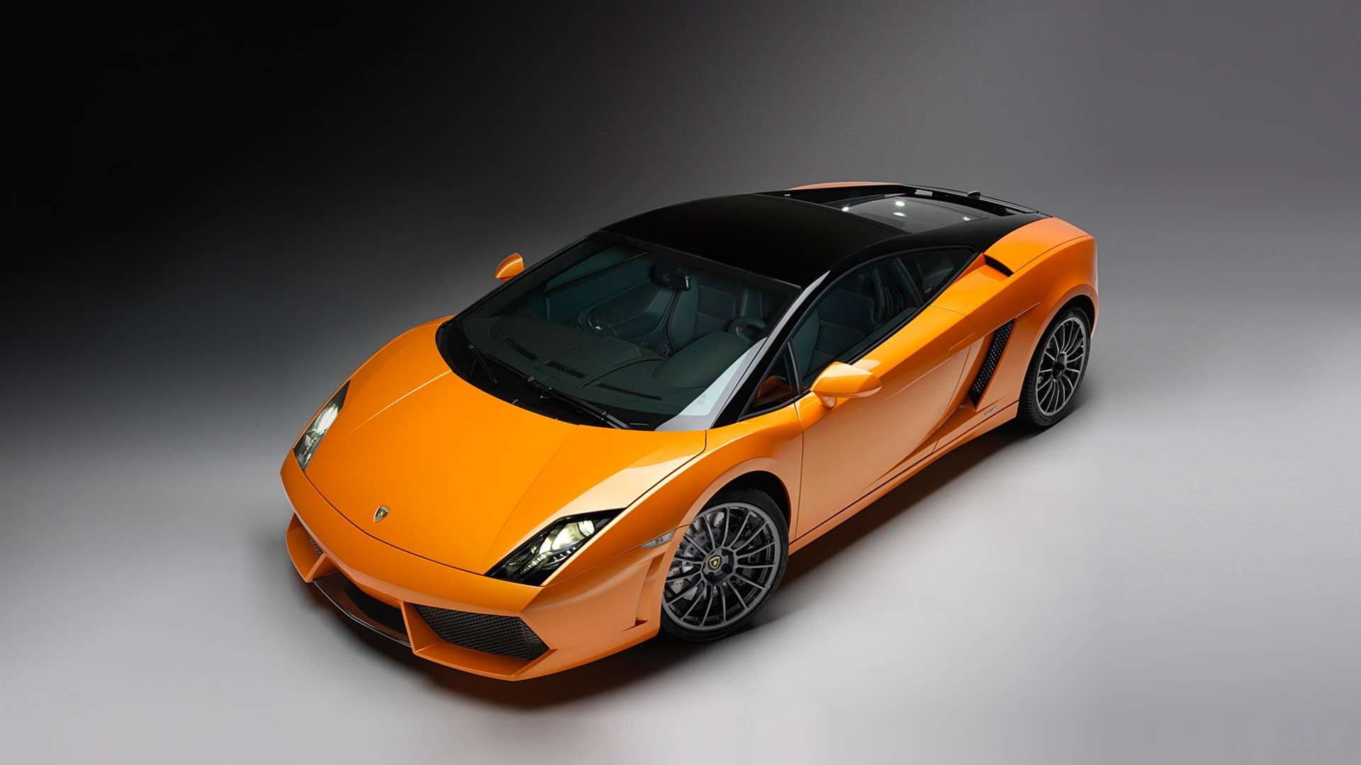 Gallardo model